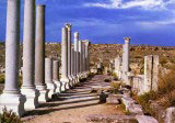 Colonnaded avenue